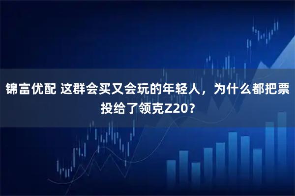 锦富优配 这群会买又会玩的年轻人，为什么都把票投给了领克Z20？