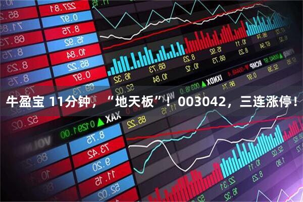 牛盈宝 11分钟，“地天板”！003042，三连涨停！